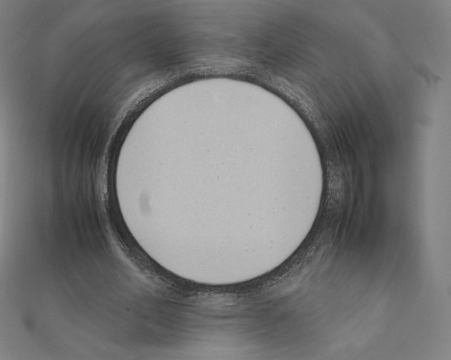 X0000111430582200908241123