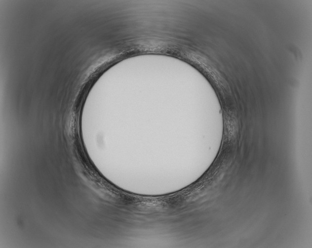 X0000111430583200908241123