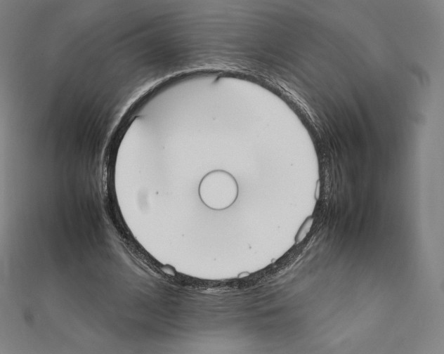 X0000111430584200908241123
