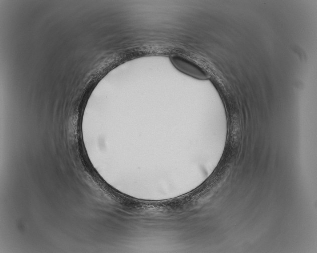 X0000111430585200908241123