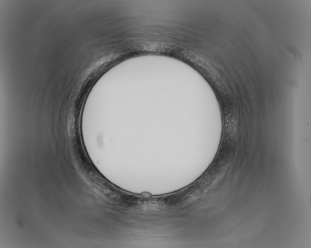 X0000111430587200908241123