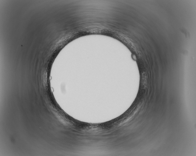 X0000111430589200908241123