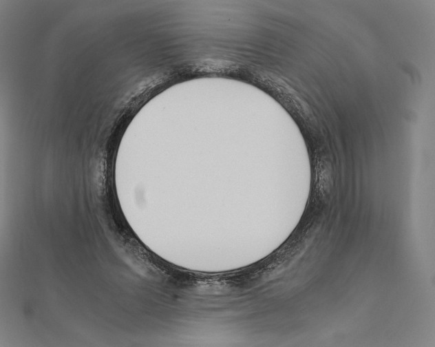 X0000111430591200908241123