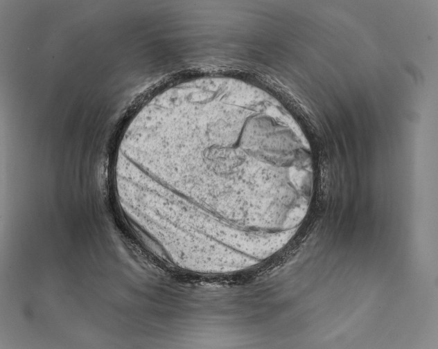 X0000111430592200908241123
