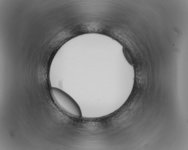 X0000111430593200908241123