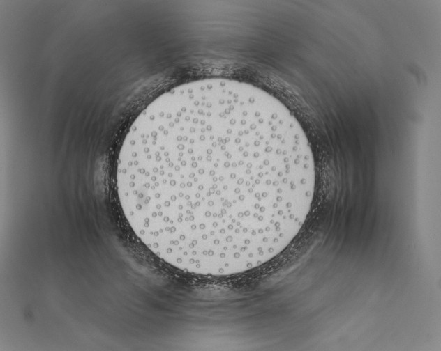 X0000111430594200908241123