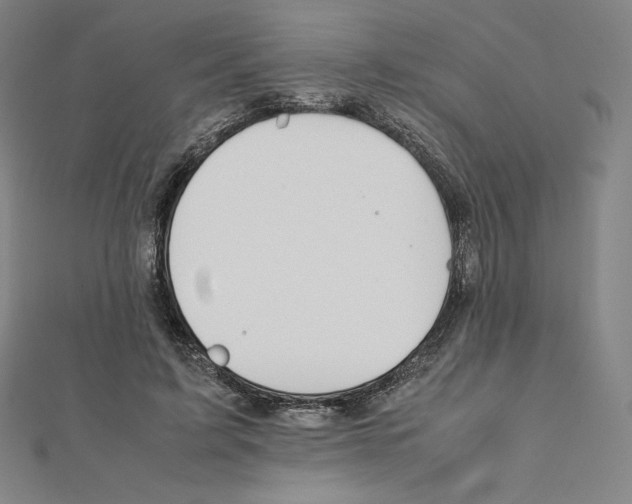 X0000111430595200908241123