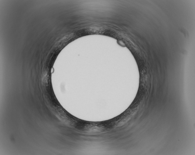 X0000111430597200908241123