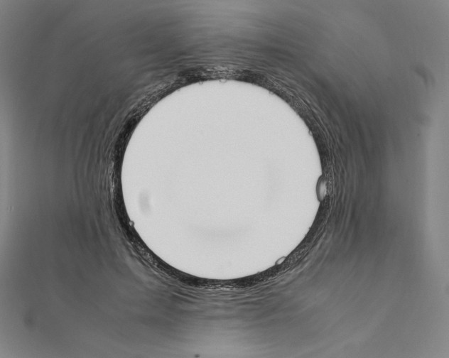 X0000111430599200908241123