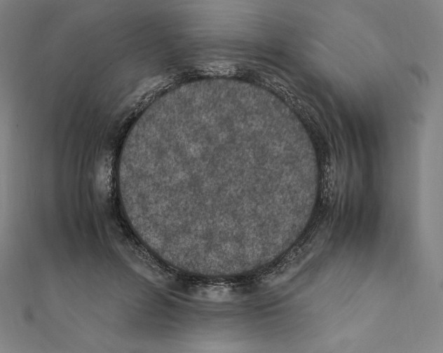 X0000111430600200908241123