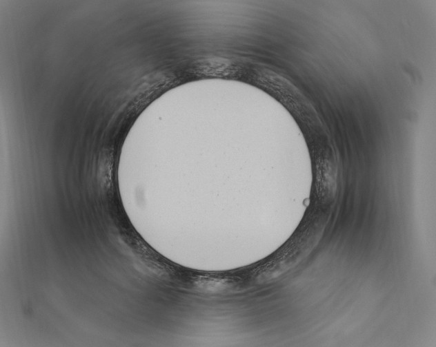X0000111430602200908241123