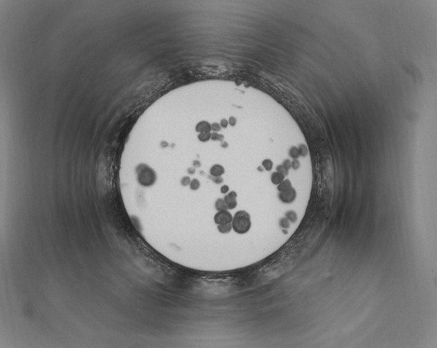 X0000111430606200908241123