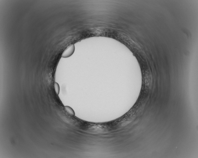 X0000111430611200908241123