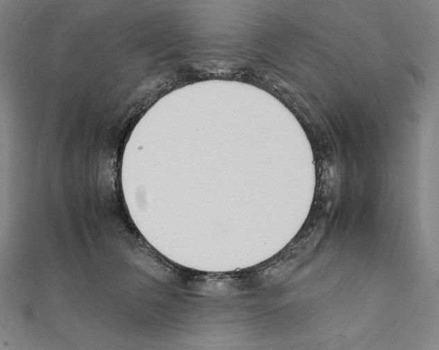 X0000111430612200908241123
