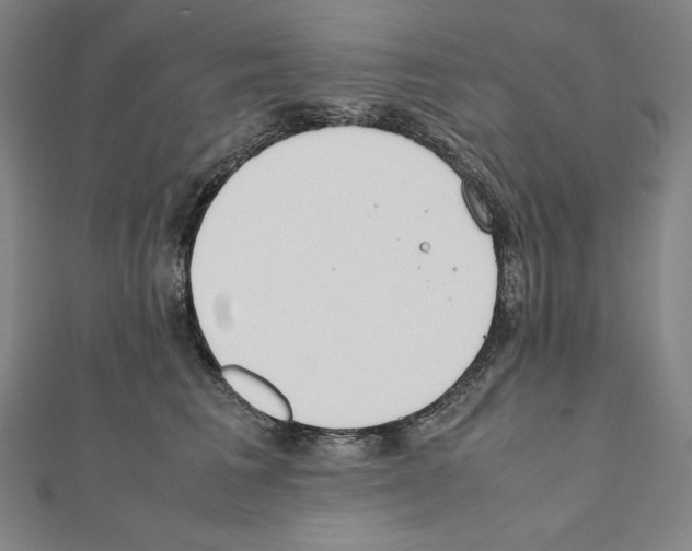 X0000111430613200908241123