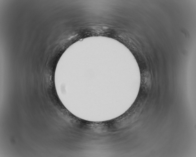 X0000111430615200908241123