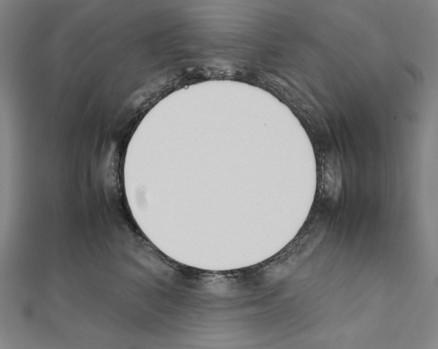 X0000111430616200908241123