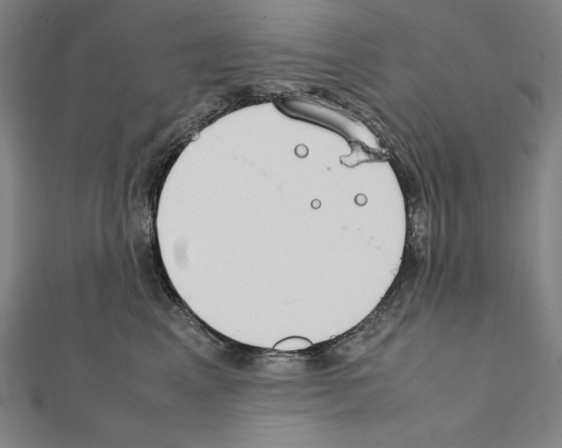 X0000111430617200908241123