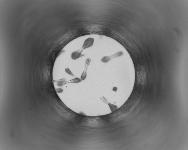 X0000111430618200908241123