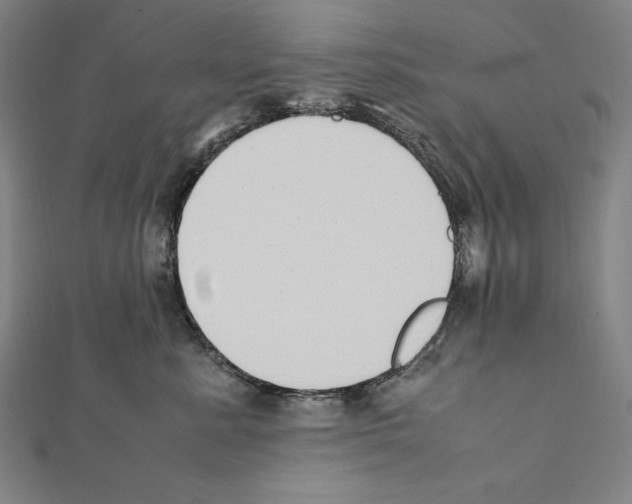 X0000111430619200908241123
