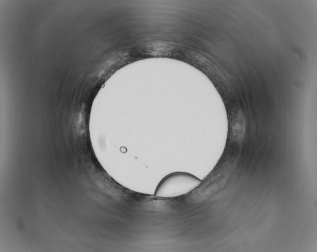 X0000111430620200908241122
