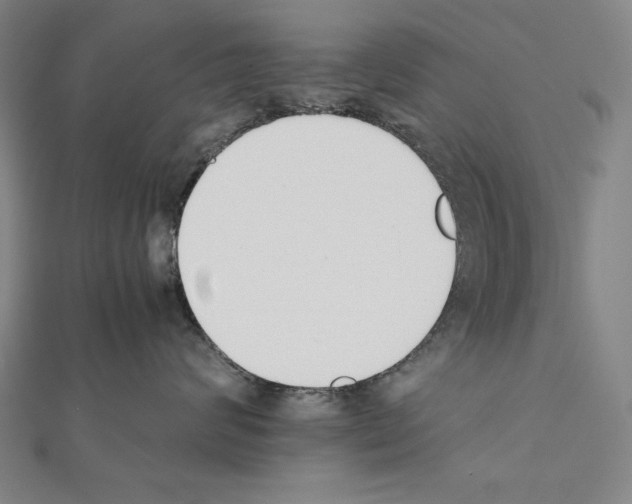 X0000111430624200908241122