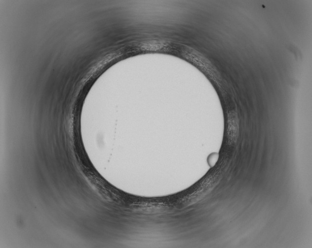 X0000111430626200908241122