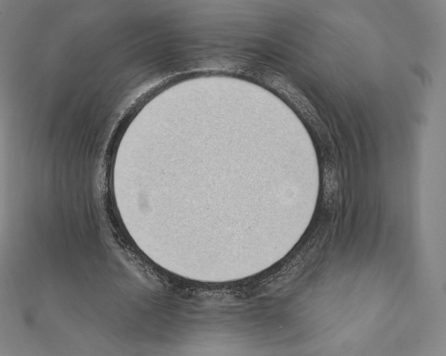 X0000111430628200908241122
