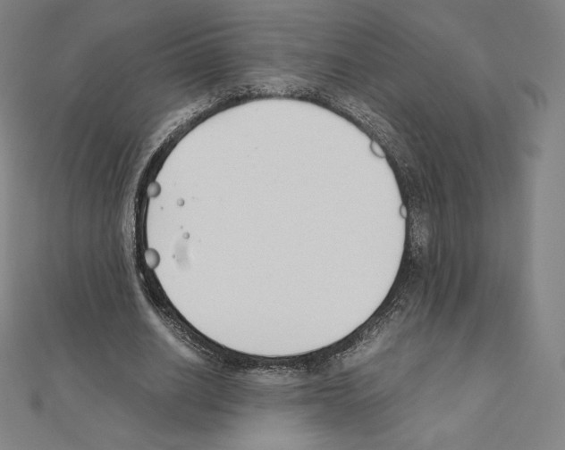 X0000111430630200908241122