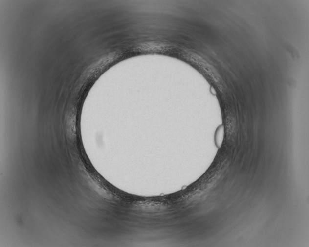 X0000111430633200908241122