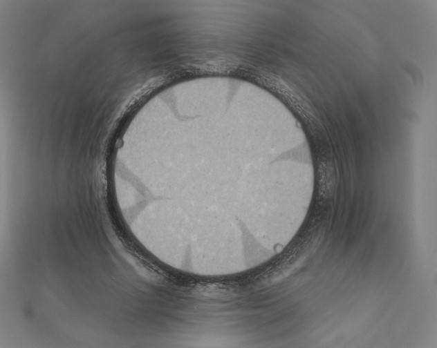 X0000111430634200908241122