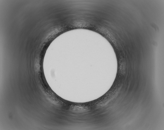 X0000111430635200908241122