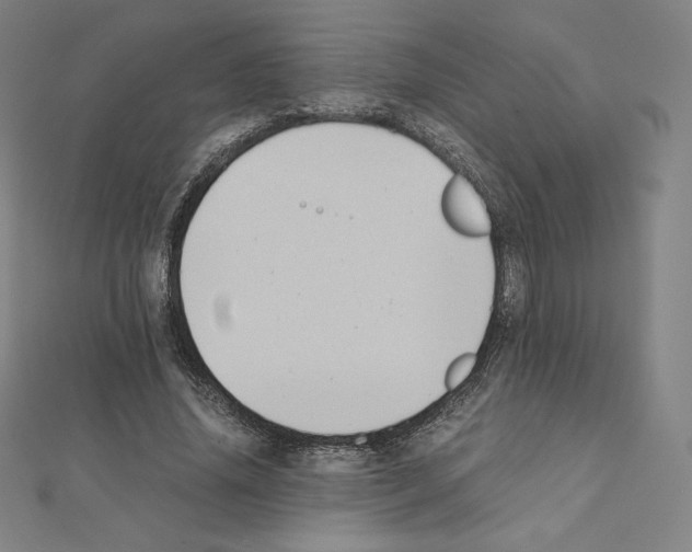 X0000111430636200908241122