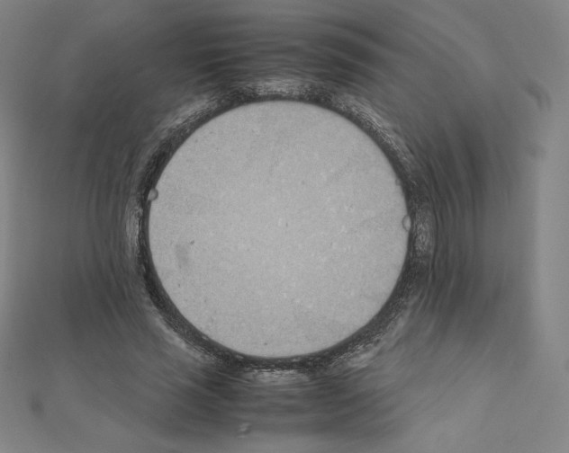 X0000111430637200908241122