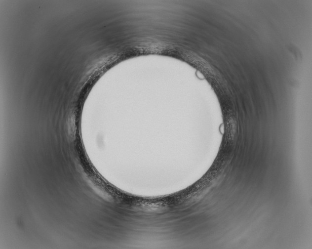 X0000111430638200908241122