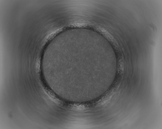 X0000111430640200908241122