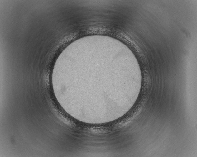 X0000111430641200908241122