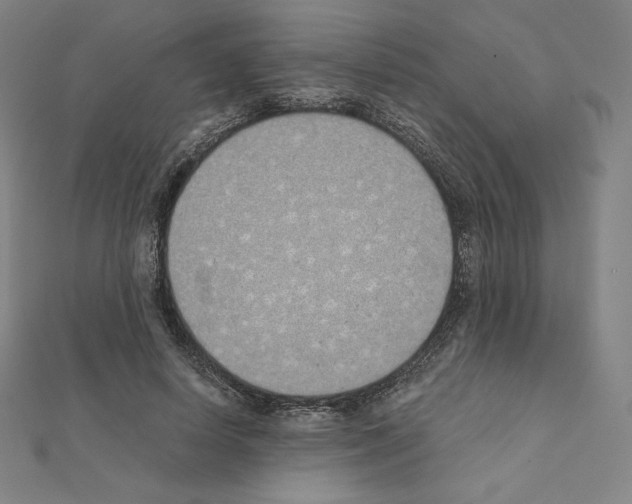 X0000111430642200908241122