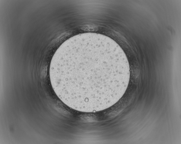 X0000111430652200908241122
