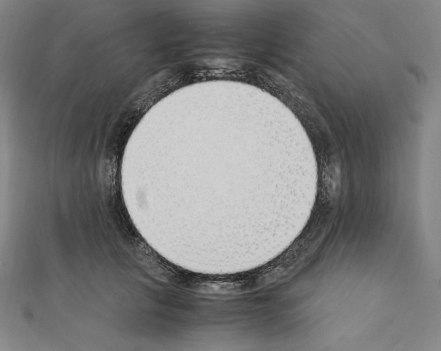 X0000111430657200908241122