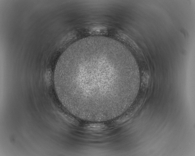 X0000111430659200908241122