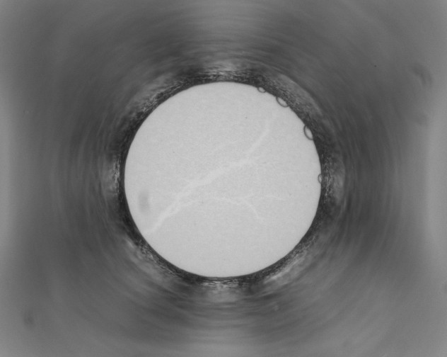 X0000111430660200908241122