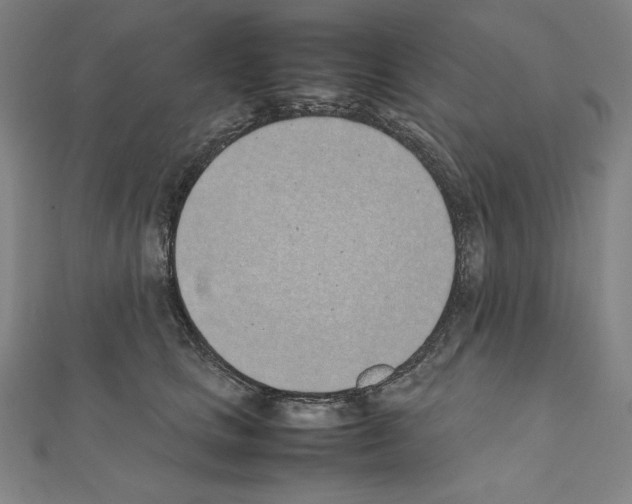 X0000111430661200908241122