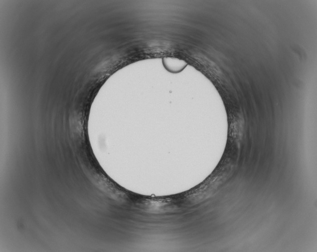 X0000111430662200908241122