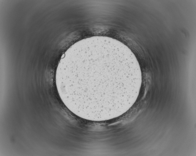 X0000111430664200908241122