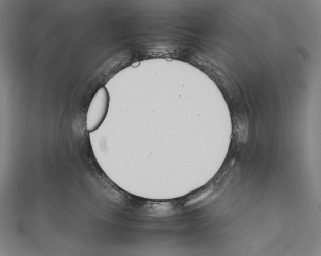 X0000111430665200908241122