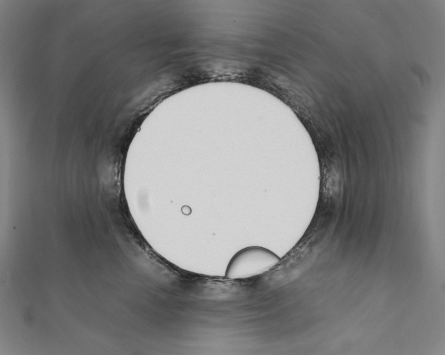 X0000111430666200908241122