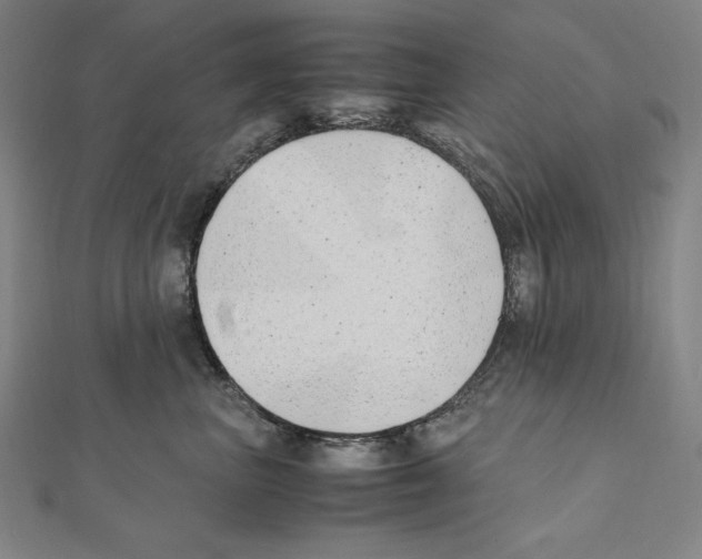 X0000111430667200908241122