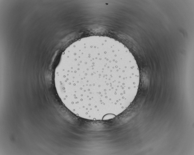 X0000111430668200908241122