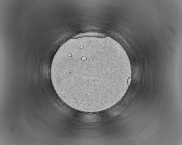 X0000111430669200908241122